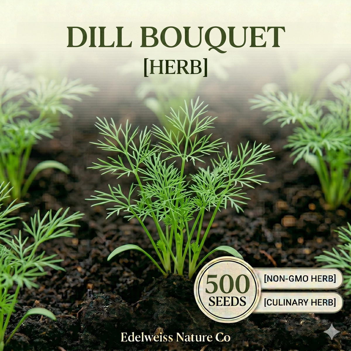 Bouquet Dill Seeds - Heirloom Herb for Pickling & Garden (500 Seeds)