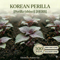 Korean Perilla Seeds – 500 Shiso Herb Seeds for Asian Cooking