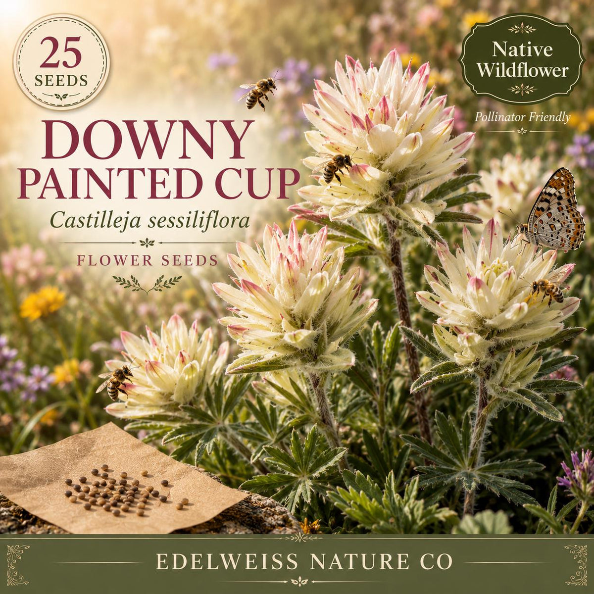 25 Downy Painted Cup Seeds - Castilleja sessiliflora Native Wildflower for Pollinator & Hummingbird Gardens