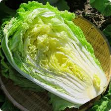 Chinese Cabbage Kogane Seeds – 500mg for Planting, Heirloom Variety, Sweet & Tender, Fast Growing, Cold Hardy, Garden Container