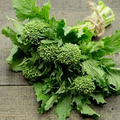 Broccoli Raab Rapini Seeds – 500mg for Planting, Heirloom Spring Rabe, Fast Growing, Tender Greens & Buds, High Yield, Garden Container