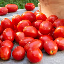 100 Heirloom Tomato Mix Seeds – Colorful Open-Pollinated Varieties | Lycopersicon esculentum | Non-GMO | Bright & Flavorful