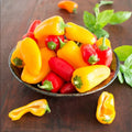 Mini Bell Pepper 20 Seeds - Mixed Colors, Non-GMO, Organic Garden Seeds - Capsicum annuum