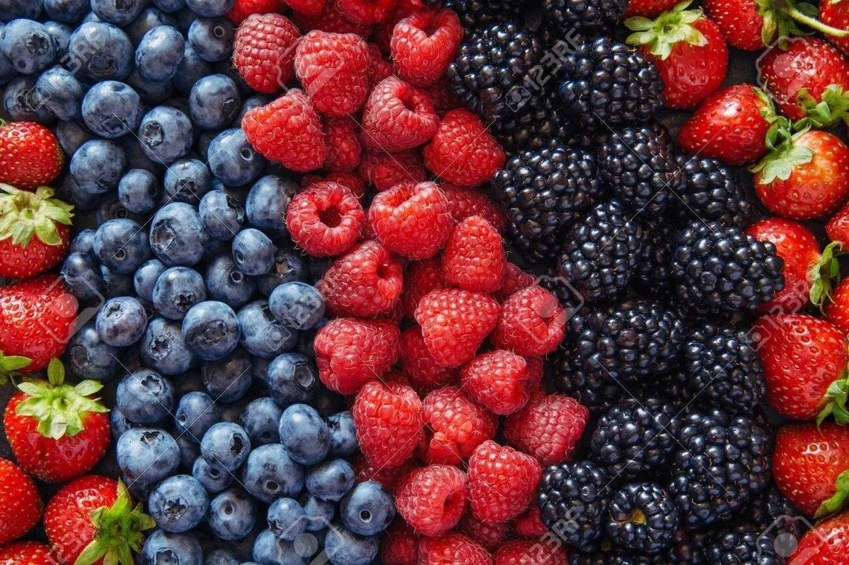 Berry Seed Set - Strawberry, Blueberry, Blackberry, Raspberry - Gift Package - Perfect for Home Gardening