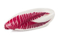Endive Seeds - 2000 Count - Red Treviso - Non-GMO Heirloom - Free Shipping USA Seller