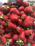 Strawberry Seeds - Organic Sweet Non-GMO Berry - Homegrown Edible Garden - Fragaria × ananassa - USA