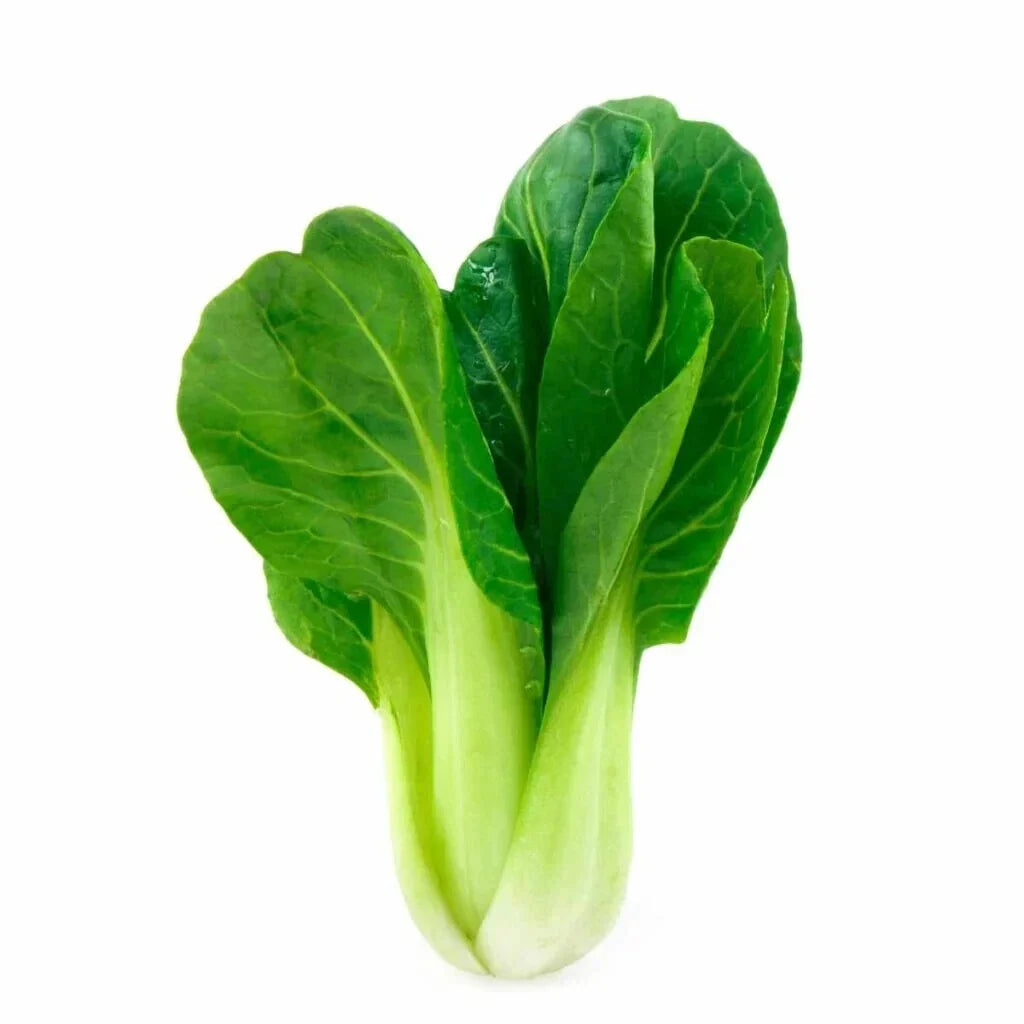 Bok Choy Seeds - 500+ Chinese Cabbage Seeds for Garden Planting - Brassica rapa - USA