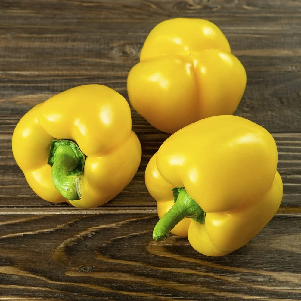 Mini Yellow Bell Pepper Seeds - Organic Non-GMO - 50+ Rare Seeds - Capsicum annuum