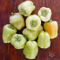 25+ White Bell Sweet Pepper Seeds - Capsicum annuum - Garden Planting - USA - Non-GMO