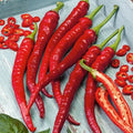 Cayenne Hot Pepper Seeds - 100+ Organic Heirloom NON-GMO - Spicy Long Slim Variety