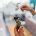 220 Smudging Sage Seeds | Big Mountain White Sagebrush | Artemisia Tridentata Vaseyana