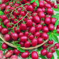 200pcs Heirloom Tomato Seeds - Cherry Pink Grape - Non-GMO, Organic Vegetable Seeds for Home Garden