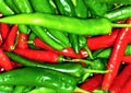 Cayenne Long Red Slim Pepper Seeds - 50+ Non-GMO Seeds for Gardening - Capsicum annuum