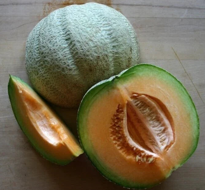 Fresh Sweet Italian Tuscany Melon Seeds - 20 Premium Seeds - Heirloom Variety - Cucumis melo