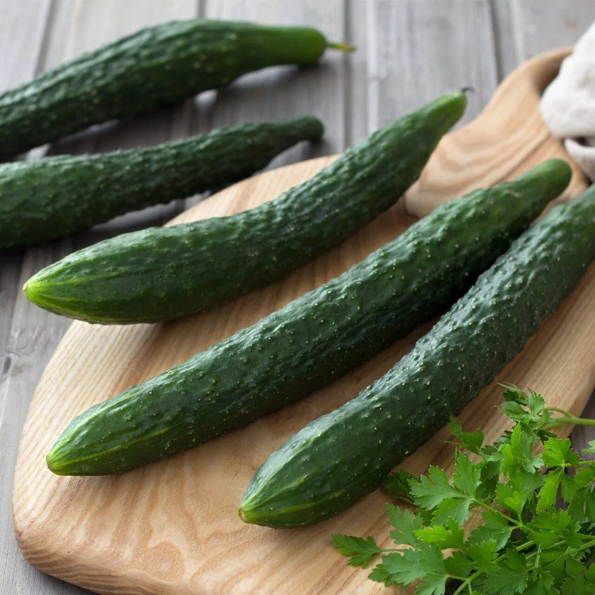 Suyo Long Cucumber Seeds - 100+ Heirloom, Non-GMO, Organic - Cucumis sativus - Rare Garden Seeds
