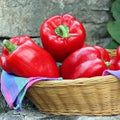 Big Red Sweet Bell Pepper Seeds - Non-GMO Heirloom Variety - Capsicum annuum - With Tracking