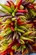Cayenne Pepper Seeds - 200+ Heirloom Fiesta Blend - Hot & Organic - Non-GMO - Ideal for Home Gardening