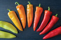 Hungarian Hot Wax Pepper Seeds (30 Seeds) - Capsicum annuum - Heirloom, Spicy, Home Gardening, Vegetable Seeds