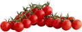 Sugar Bomb Cherry Tomato Seeds - Heirloom Organic Non-GMO - 100 Seeds - Perfect for Home Gardening - Solanum Lycopersicum