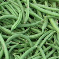 Stringless Green Bean Seeds, Non-GMO, Various Sizes, Phaseolus vulgaris, Burpee Variety, Organic Gardening Essentials