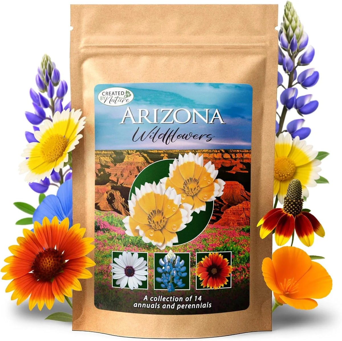 Arizona Wildflower Seed Mix - 14 Flower Varieties, Poppy & Lupine Seeds, Native Wildflowers for Gardens - 3 oz