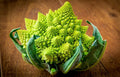 Broccoli Romanesco Seeds - 100 Count - Heirloom Vegetable - Brassica oleracea 'Romanesco' - Unique Fractal Heads
