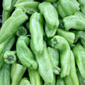 Cubanelle Pepper Seeds 50+ Non-GMO Sweet Vegetable Seeds - Capsicum annuum - USA Seller, Free Shipping