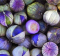 Purple Tomatillo Seeds - 100+ Seeds for Growing Salsa - Physalis ixocarpa - Made in USA