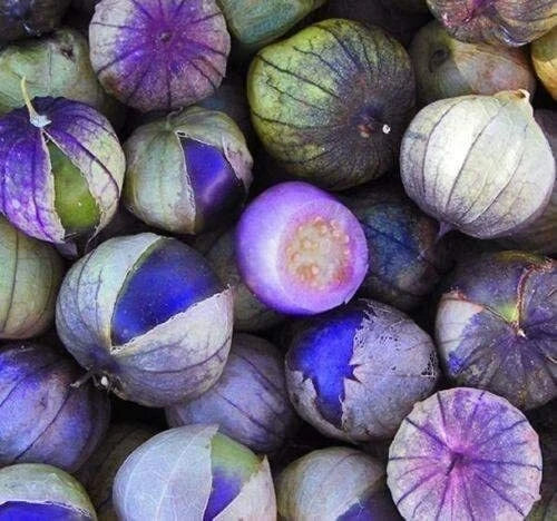 Purple Tomatillo Seeds - 100+ Seeds for Growing Salsa - Physalis ixocarpa - Made in USA