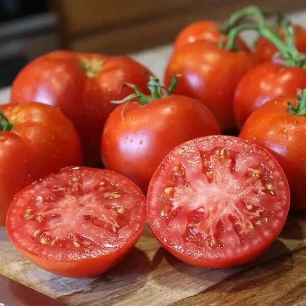 Better Boy Tomato Seeds - 50 Count Pack - 2024 Harvest - Solanum lycopersicum - USA Grown
