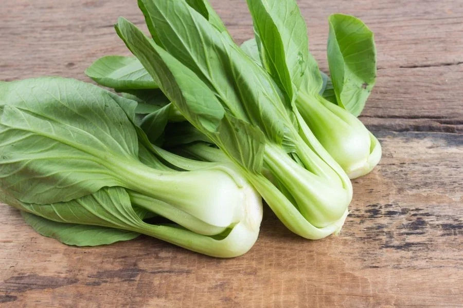 Canton Pak Choi Seeds 2g - Chinese Cabbage Variety, Approximately 400 First-Rate Seeds, Brassica rapa subsp. chinensis