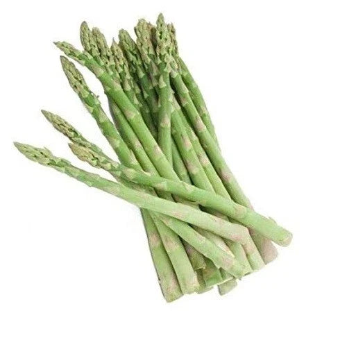Asparagus Seeds - 50+/- Perennial Drought Tolerant UC 72, O.P. Quality for 15 Years - Perfect for Home Gardens