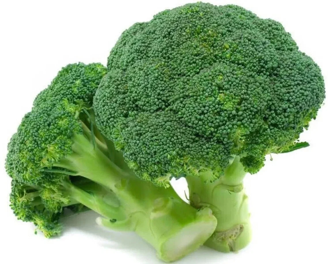 1000+ Broccoli Seeds - Waltham 29 - Heirloom Organic Non-GMO - Fresh Vegetable Seeds