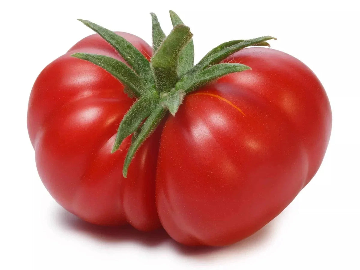 Beefsteak Tomato Seeds - 30+ Large Heirloom Non-GMO Organic - Solanum lycopersicum - Fresh