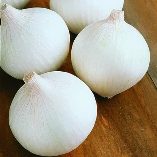 White Sweet Spanish Onion Seeds - Heirloom Non-GMO - Allium cepa - Vegetable Gardening