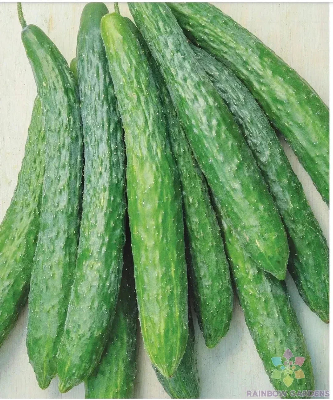 25+ Dragon Suhyo Cross Cucumber Seeds | Organic Vegetable Seeds for Garden Planting | Cucumis sativus