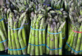 Asparagus Seeds - 100 Count - Mary Washington Variety - Asparagus officinalis