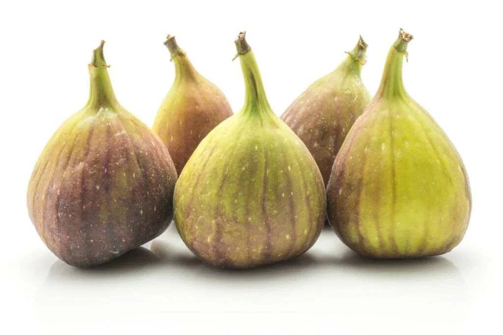 Kadota Fig Seeds - 100+ Count - White Variety - Ficus carica - Perfect for Garden Planting - USA Origin