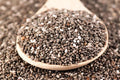 Chia Seeds 16 oz Organic Superfood Salvia hispanica Healthy Snack