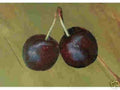 Hansen's Bush Cherry Seedling Live Plant – Hardy Fruiting Shrub – Prunus japonica – No Shipments to CA, HI, OR, WA