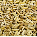 Cat Grass Mix Seeds - 300+ Red Wheat, Barley, Oats & Cereal Rye - Pet Safe Plant for Cats, Indoor Gardening