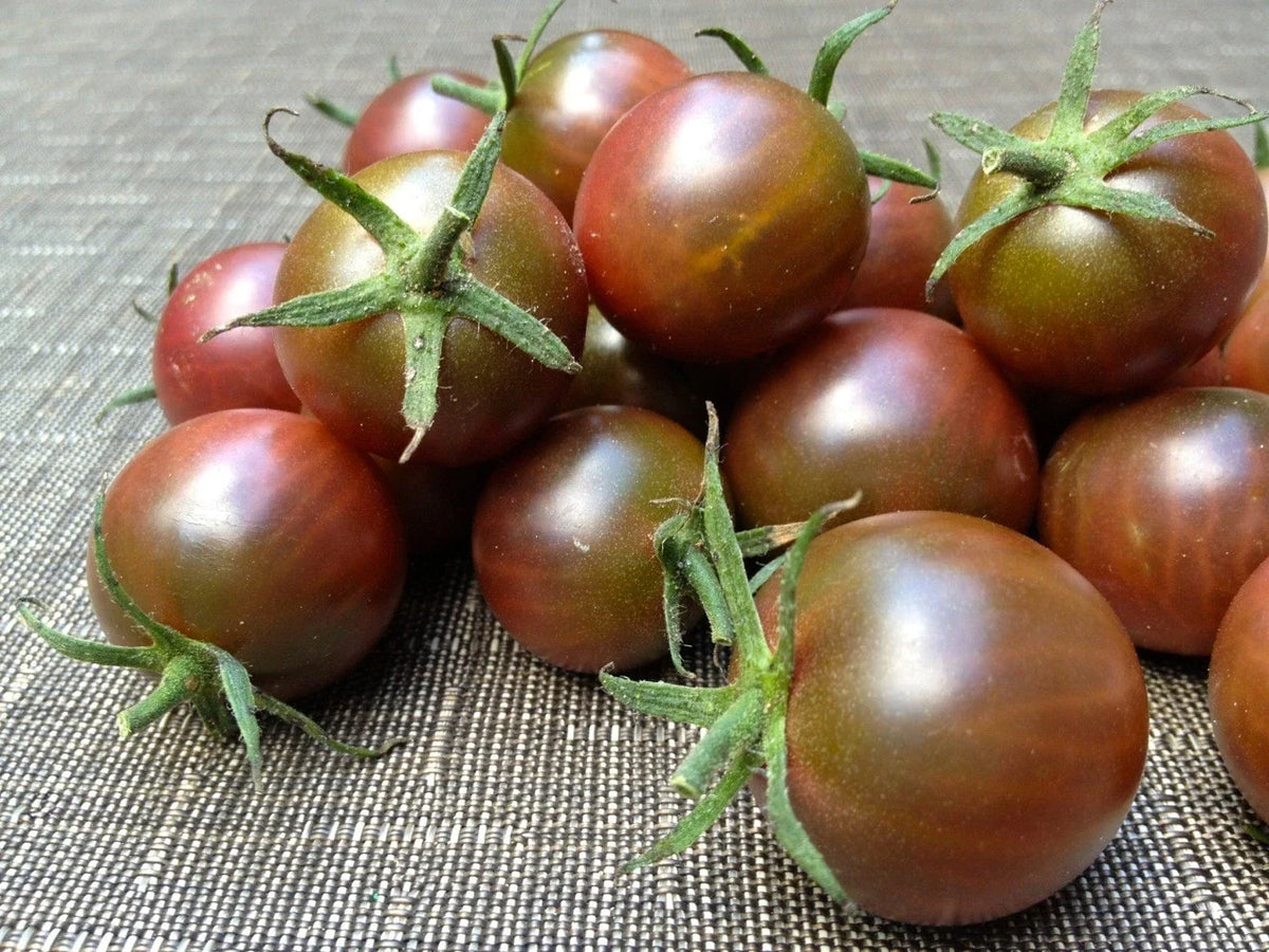 Brown Berry Tomato Seeds - 120+ Heirloom Organic Seeds - Rare Variety - Perfect for Home Gardening