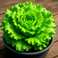 Black Seeded Simpson Lettuce Seeds - 2500+ Heirloom Non-GMO, Easy to Grow, Organic Vegetable Seeds