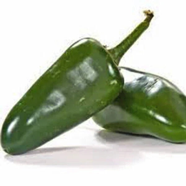 Jalapeno Pepper Seeds - 200+ Heirloom, Non-GMO, Fresh, Capsicum annuum