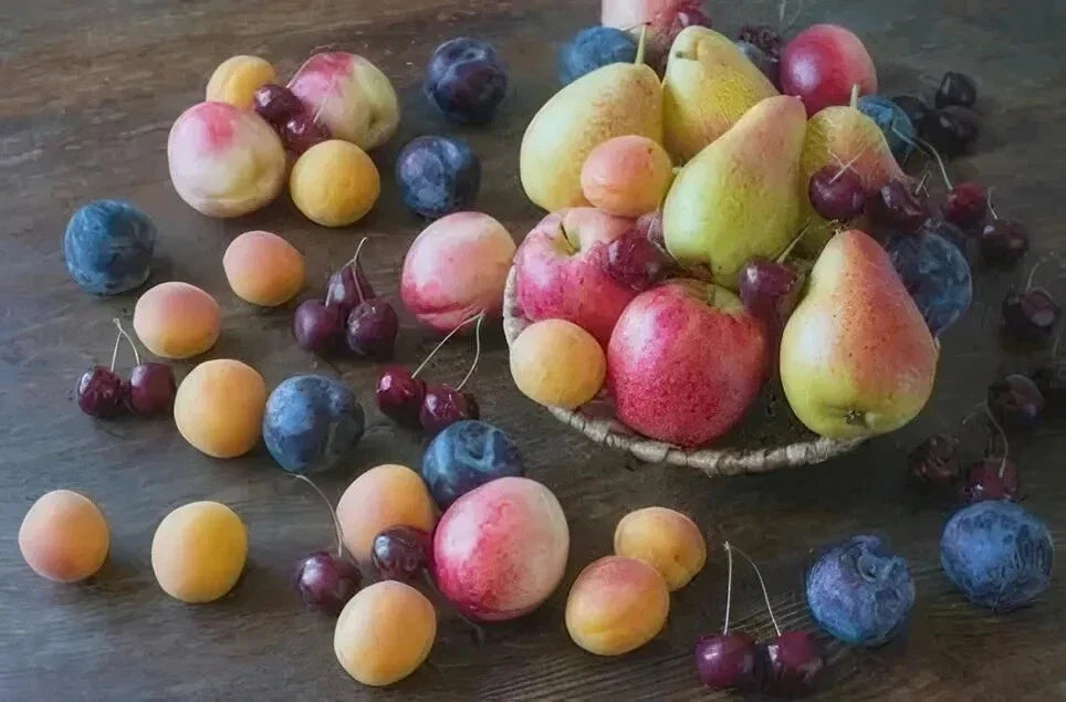 Assorted Fruit Cuttings - 50+ Variety Pack - TreesAgain - Ideal for Home Gardens and Orchards