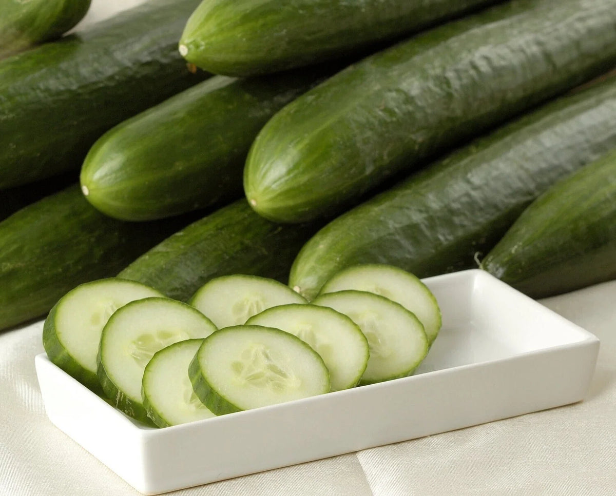 Ashley Long Cucumber Seeds - 100+ Heirloom Non-GMO Organic Seeds - Cucumis sativus
