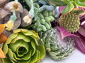 15 Assorted Succulent Cuttings, Unique Varieties, Ready to Plant, Not Rooted, Perfect for DIY Arrangements