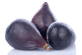 LSU Gold Fig Seeds - 100+ Premium Seeds for Garden Planting - Ficus carica - USA Grown