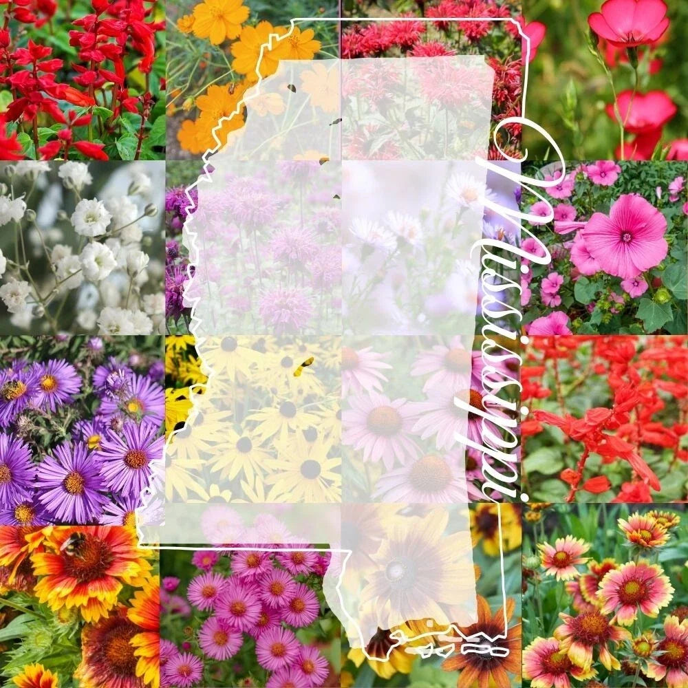 Mississippi Wildflower Seed Mix 1lb - Covers 2,000 sq ft - Native Wildflowers for Pollinators - Bulk Wildflower Seeds