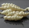 Chinese Artichoke Tubers - 3 Planting Tubers - Crosne - Stachys Affinis - USA Grown